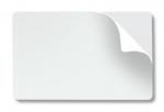 Fargo PVC наклейка чистая для печати 81759 500шт.