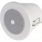 Оникс CVGaudio CRW4T